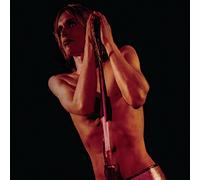 Iggy Pop & the Stooges - Raw Power