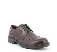 IGI&Co Hombre Cityroa.gt, Oxford Hombre, T Moro, 45 EU