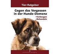 IGK-Verlag Imre Gegen das Vergessen in der Hunde-Demenz: Vorbeugen (Tapa blanda)