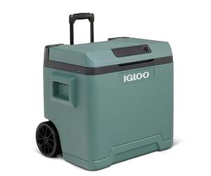 IGLOO IE42 Nevera Eléctrica, 12V y 230V, 42L - Mini Frigorífico Compacto para Coche, Camping, Viajes, Barco y Festivales - con Ruedas, Asa Telescópica, Compartimento para Cables y Modo Eco/MAX