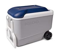 IGLOO Maxcold 40 Roller, Gris, 38 litros, Nevera con Ruedas Nevera Portátil Nevera Rígida Nevera Playa Camping Outdoor Nevera Playa Rígida Nevera Camping