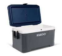 IGLOO Maxcold Nevera, Outdoor, Azul, 66 litros