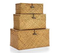 IGNPION Juego de 3 contenedores de mimbre tejidos con tapa - Cajas de cesta de pasto marino natural extra grande caramelos