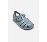 Cangrejeras barefoot IGOR Nemo Solid S10324 OCEANO 29