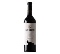 IGP Castilla Finca Río Negro 2021