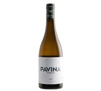 IGP Castilla y León Pavina Verdejo 2024