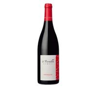 IGP Méditerranée Le Paradou Grenache 2024