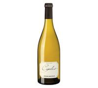 IGP Pays d´Oc Cigalus Blanc 2023