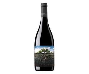 IGP Ribera del Queiles Garnacha Salvaje del Moncayo 2022