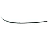 Igualdad de calidad M1054 Bumper frontal izquierdo interior estilo Moldura trim-chrome acabado