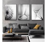 IHHGNB Póster con láminas decorativas de flores de diente de león en blanco y negro, estilo nórdico, para sala de estar o decoración del hogar (30x40cm (12x16in) x3)