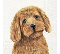 IHR Ideal Home Range Farm Dog - Servilletas de papel (20 unidades, 33 x 33 cm), diseño de perro