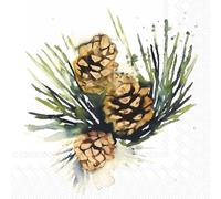 IHR Ideal Home Range Servilletas de cóctel desechables de 3 capas de papel, paquete de servilletas de fiesta, 5 x 5 pulgadas, abeto blanco, 20 unidades