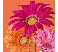 IHR Ideal Home Range Servilletas de cóctel desechables de 3 capas de papel para fiesta, 5 x 5 pulgadas, gerbera alegre (naranja), 20 unidades