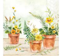 IHR Ideal Home Range Servilletas de cóctel desechables de 3 capas, paquete de servilletas de papel para fiesta, 5 x 5 pulgadas, planta en macetas (verde claro), 20 unidades