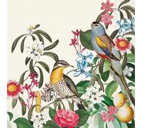 IHR Ideal Home Range Servilletas desechables de papel de 3 capas, 6.5 x 6.5 pulgadas, pájaros de la selva (crema), 20 unidades