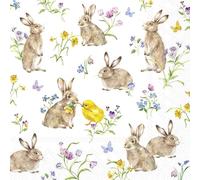 IHR Ideal Home Range Servilletas desechables de papel de 3 capas para fiesta, 16,5 x 16,5 cm, amigos de Pascua (blanco), 20 unidades