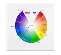 IINKUEYK Color Spectrum Chart Poster Visible Light Wavelength Guide 420-700nm for Physics Classroom Science Decor Framed,12x18inch(30x45cm)
