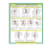 IINKUEYK Swing Anatomy Metal Sign Detailed Musculature Chart Showing Active Muscles Instructional Tool for Coaches Players 8 X 12 in