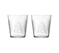 Iittala 2 Vasos de agua Taika Sato 38 cl Transparente