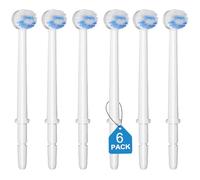 IIYL Puntas de repuesto para Waterpik Aquarius Water Flosser Waterpik cabezales de repuesto para cepillo de dientes (6 puntas de cabezal de cepillo)