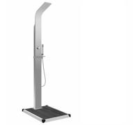 IKAYAA Ducha Exterior para Piscinas con Suelo de WPC, Ducha para Jardín en Acero Inoxidable, Cabezal de Ducha y Alcachofa de Mano, Multiuso Bonito, 15 x 44 x 210 cm,Gris