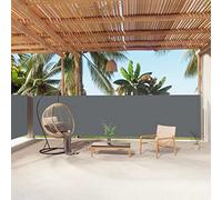 IKAYAA Toldo Lateral Retráctil, Pantalla Enrollable, Protector Solar a Prueba de Viento, Privacidad para Jardin, Balcón, Antracita 160 x 1000 cm