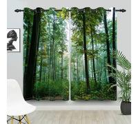 IKDZCM Cortinas Opacas con Estampado de Paisaje Natural de Bosque Soleado para Sala de Estar, Cortinas con Ojales para Dormitorio (Ancho x Alto/2 x 200 x 213 cm)