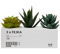 Ikea Juego de plantas artificiales de escritorio FEJKA 203.953.31 en macetas, 6 cm, Paquete de 3