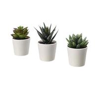 IKEA Fejka - Planta Artificial en Maceta para Interior y Exterior, suculentas, Paquete de 3 Unidades de 2 ¼ Pulgadas, Paquete de 3 Unidades 203.953.31