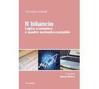 Il bilancio. Logica economica e quadro normativo-contabile (Vol. 1)
