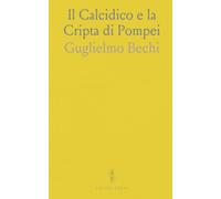 Il Calcidico e la Cripta di Pompei: Guida all'architettura, alle iscrizioni e all'organizzazione spaziale dell'edificio