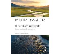 Il capitale naturale. Quanto vale il mondo intorno a noi (Frontiere)