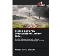 Il caso dell'area industriale di Dukem-Gelan: Gli effetti dell'espansione delle industrie manifatturiere sui contadini espropriati o sfollati