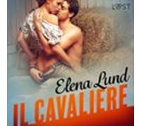 Il Cavaliere - Breve Racconto Erotico