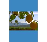 Il Cibo della Vita