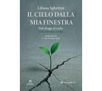 Il cielo dalla mia finestra (Storie di Paradiso)