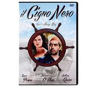 Il cigno nero [Italia] [DVD]