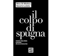 Il colpo di spugna. Trattativa Stato-mafia: il processo che non si doveva fare