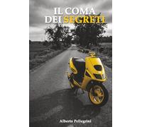 Il coma dei segreti: Un romanzo sull'amicizia, sull'amore e sul momento in cui tutto cambia (IL LABIRINTO)