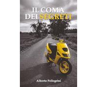 Il coma dei segreti: Un romanzo sull'amicizia, sull'amore e sul momento in cui tutto cambia (IL LABIRINTO)