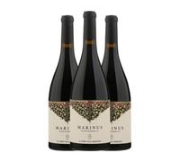 Il Conte Villa Prandone Marinus Superiore Rosso Piceno 75 cl Vino tinto (Caja de 3 Botellas de 75 cl)