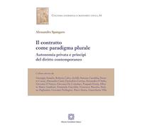 Il contratto come paradigma plurale. Autonomia privata e principi del diritto contemporaneo (Cultura giuridica e rapporti civili)