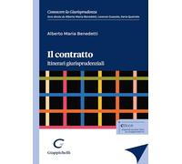 Il contratto. Itinerari giurisprudenziali (Conoscere la Giurisprudenza. Serie)