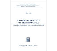 Il danno evidenziale nel processo civile. Un'analisi comparata tra Italia e Stati Uniti (Università di Torino. Dipartimento di management. Sez. di diritto dell'economia)