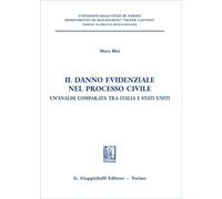 Il danno evidenziale nel processo civile. Un'analisi comparata tra Italia e Stati Uniti (Università di Torino. Dipartimento di management. Sez. di diritto dell'economia)