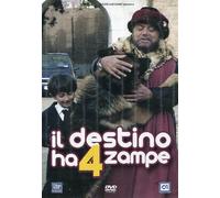Il destino ha 4 zampe [Italia] [DVD]