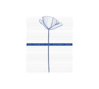 Il diario dei giorni blu