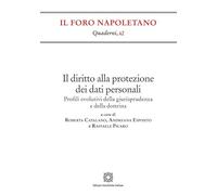 Il diritto alla protezione dei dati personali (Quaderni de «Il Foro napoletano»)