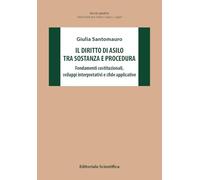 Il diritto di asilo tra sostanza e procedura. Fondamenti costituzionali, sviluppi interpretativi e sfide applicative (Ricerche giuridiche. Nuovissima serie)